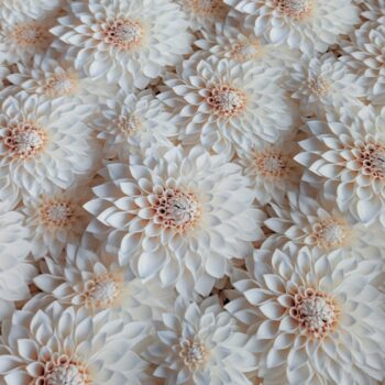 tela-estampado-crep-flamenca-gitana-flor-elastico-blanco